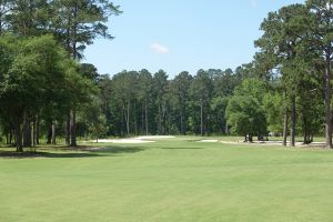 Congaree 12th Fairway